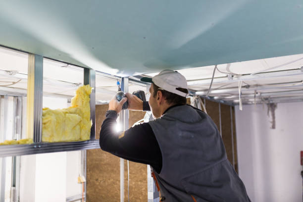 Best Specialized Insulation Services in Hamilton, OH