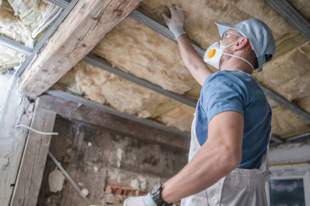 Best Eco-Friendly Insulation in Hamilton, OH